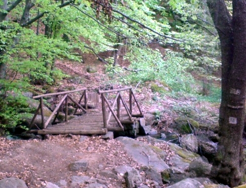Дървено мостче на алеята под манастира (река Йордан)